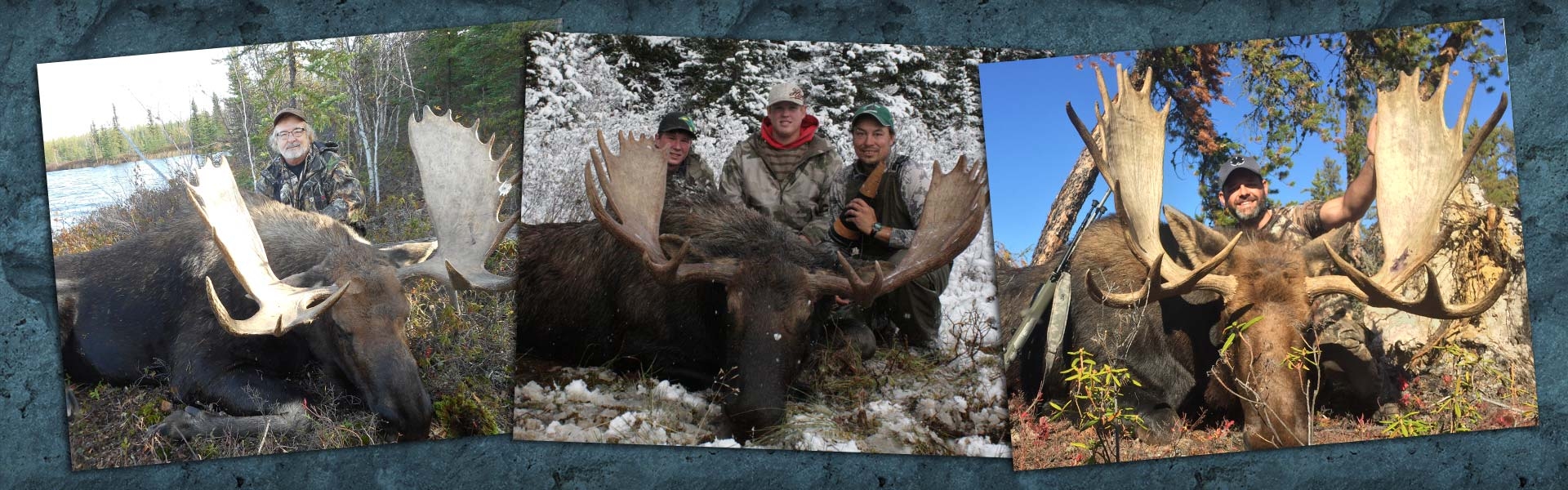 Remote Fly In Alberta Moose Hunts Alberta Moose Hunting Guides Outfitters