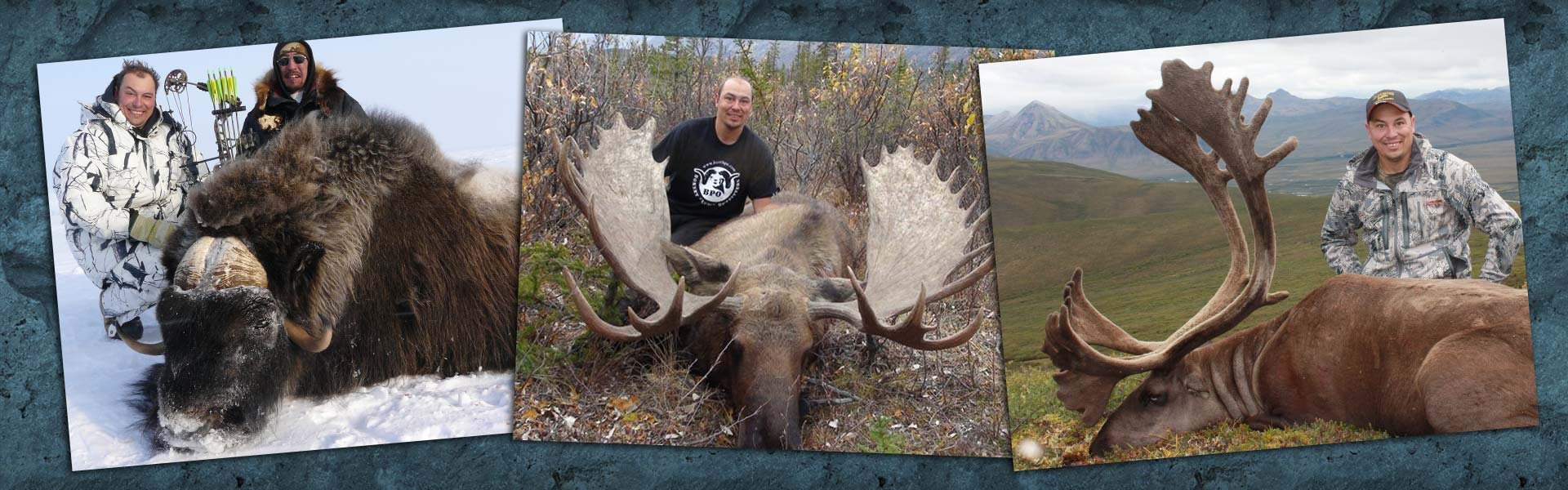 North America Trophy Big Game Hunting Consultant / Booking Agent