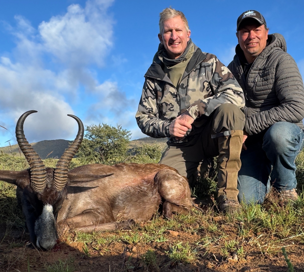Spring Buck