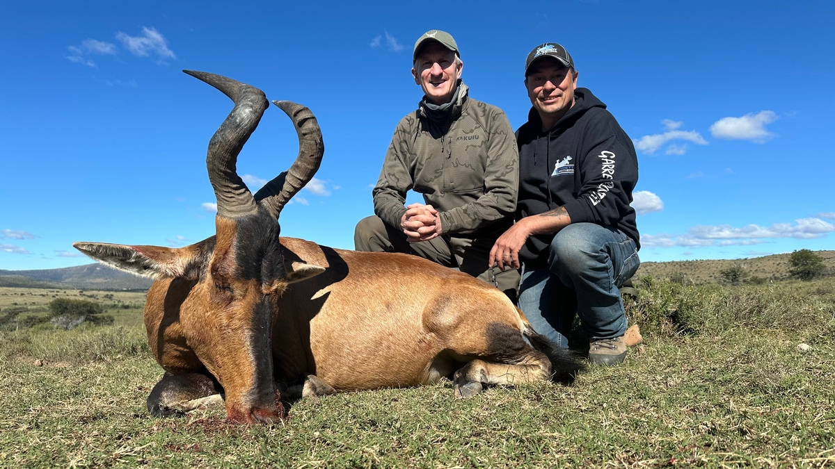 RED HARTEBEEST