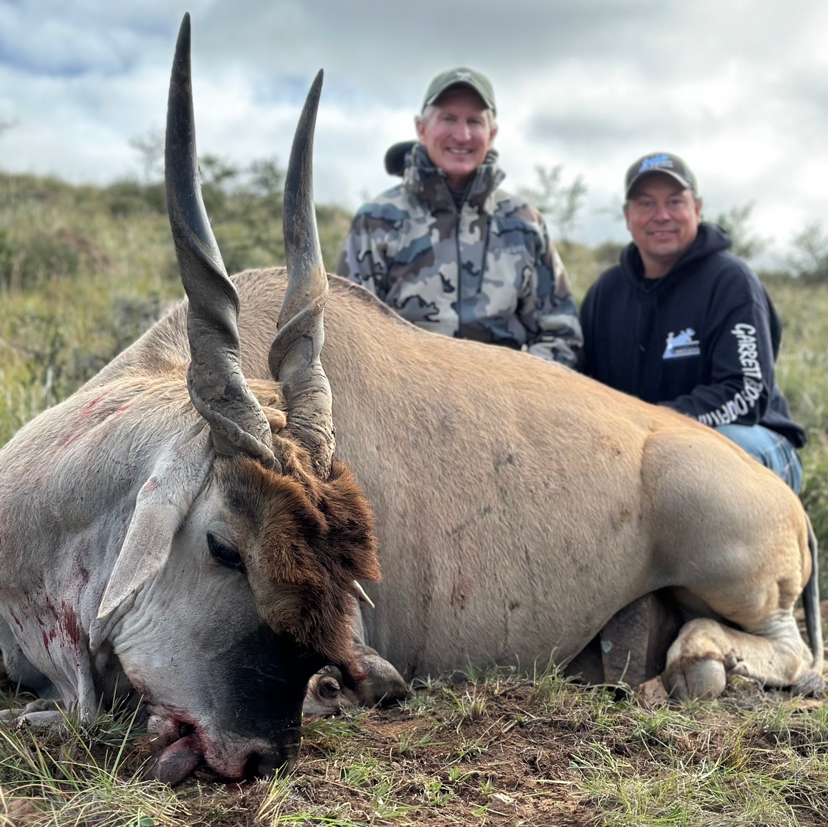 ELAND