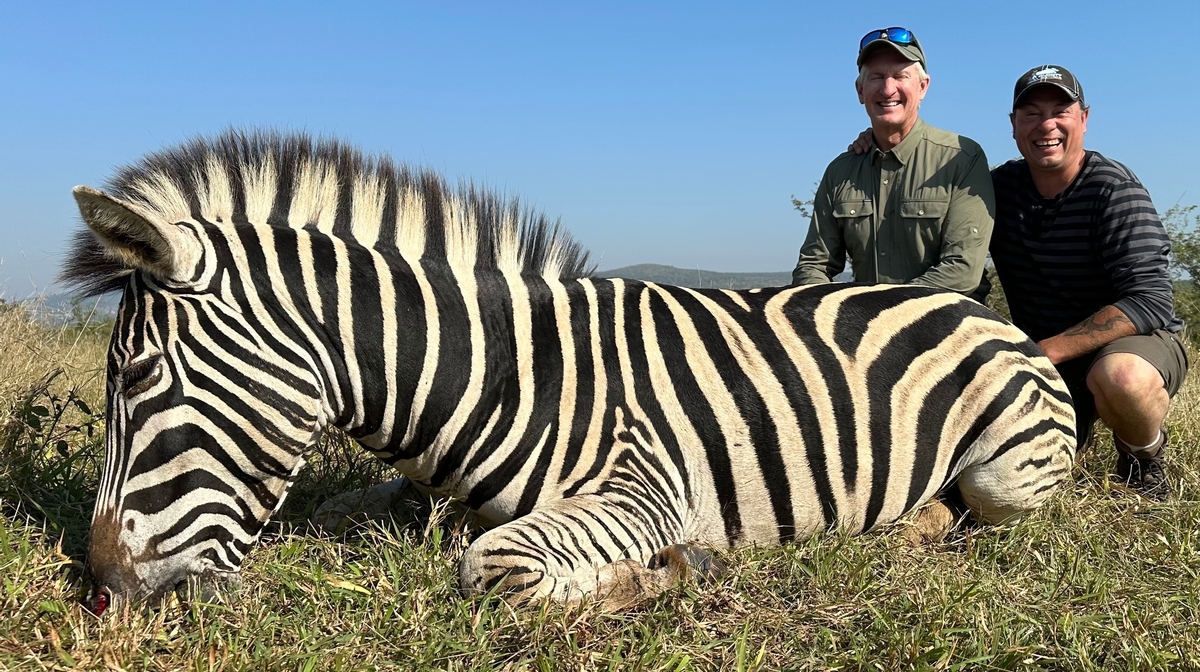 ZEBRA