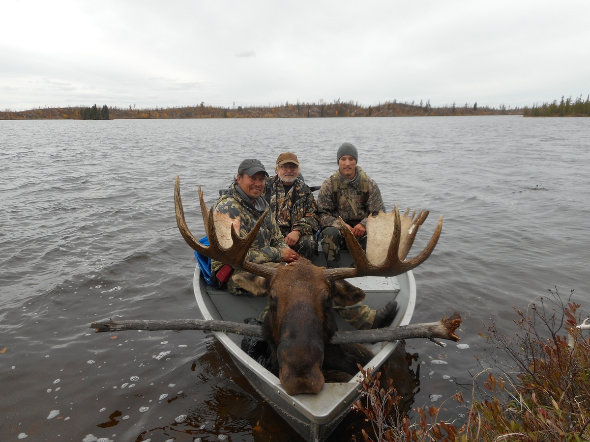 moose tour alberta