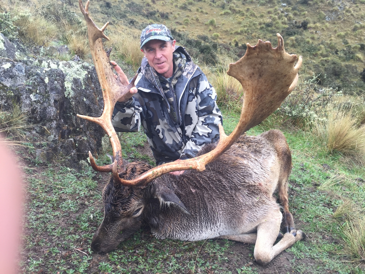 Fallow Deer Hunts