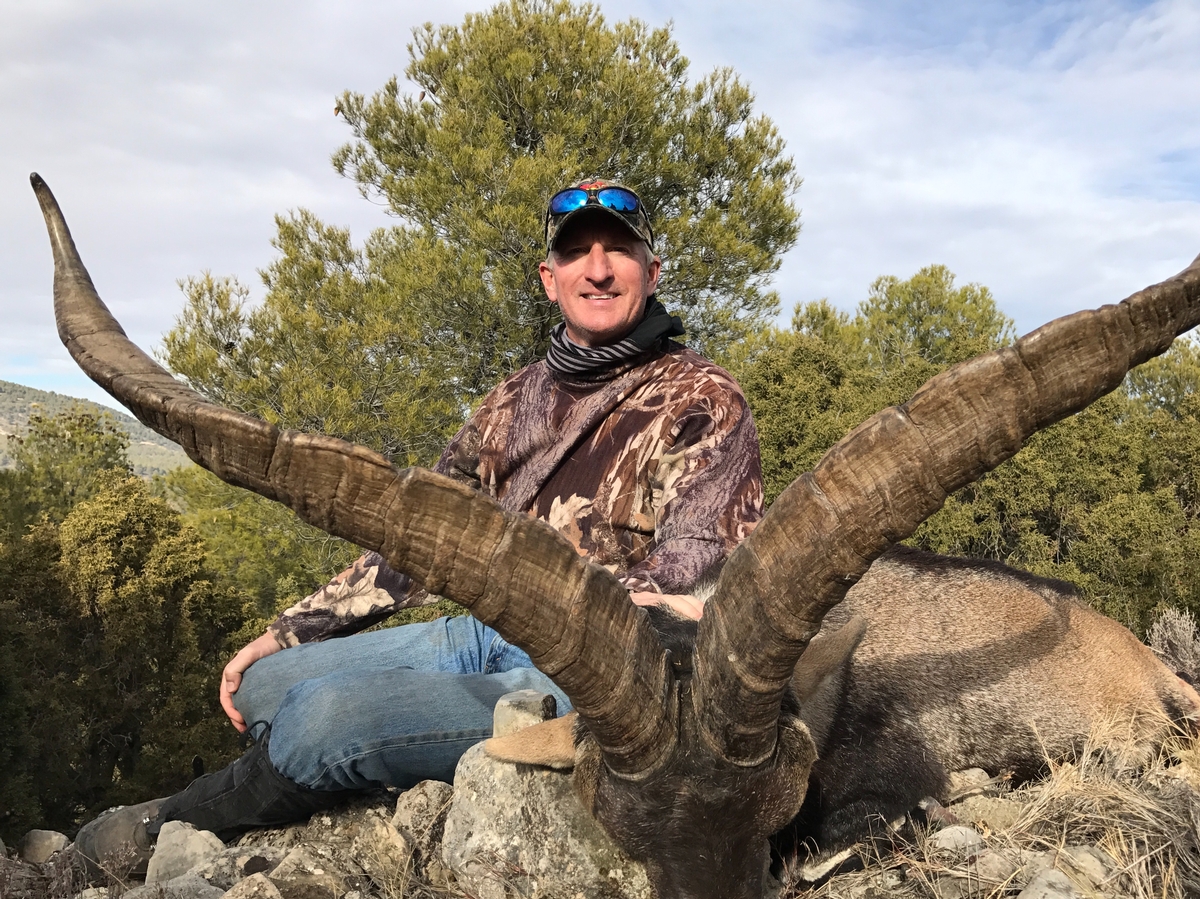 Beceite Ibex