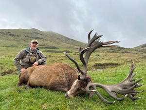New Zealand Hunting